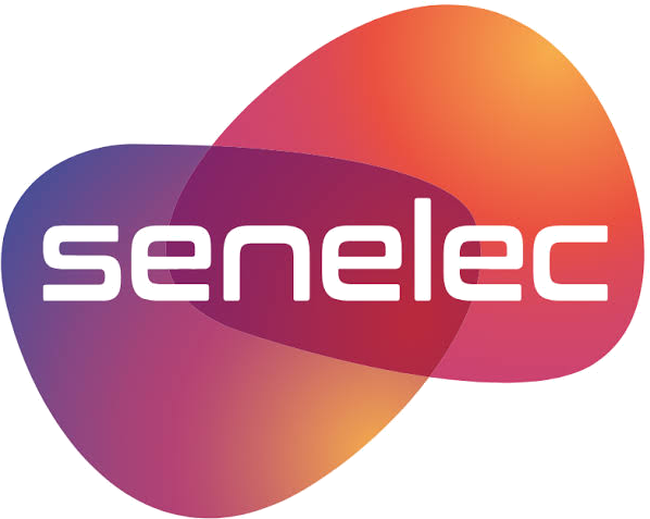 Senelec Senelec